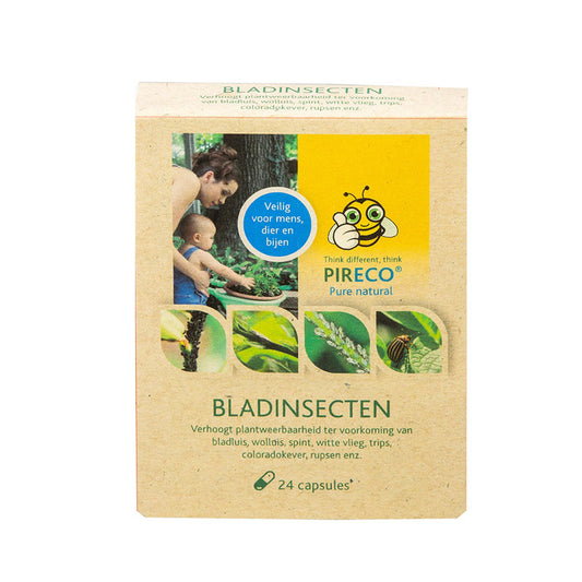 Pireco Leaf Insects 24 Kapseln Box